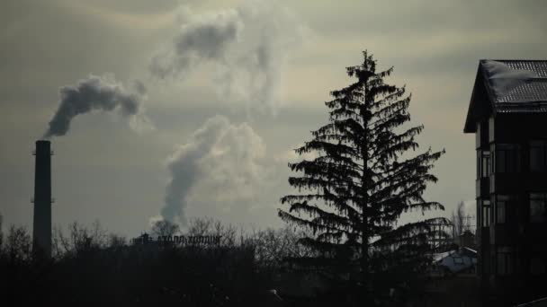 Duman bacadan geliyor. Hava kirliliği. Ekoloji. Kyiv. Ukrayna. — Stok video