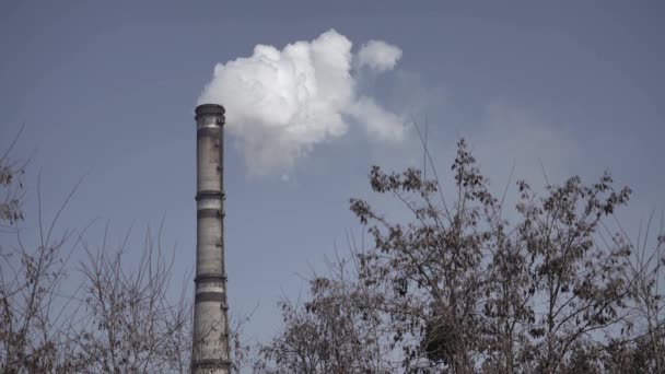 El humo viene de la chimenea. Contaminación atmosférica. Ecología. Kiev. Ucrania . — Vídeos de Stock