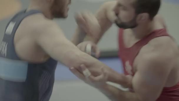 Luchadores durante la competencia de lucha libre. Kiev. Ucrania — Vídeos de Stock