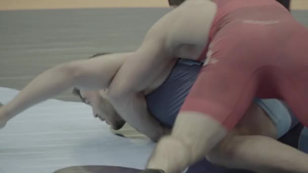 Wrestlers during the wrestling competition. Kyiv. Ukraine — ストック動画