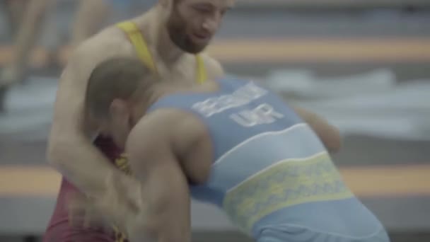 레슬링 경기중 선수들 이죠. Kyiv. 우크라 이나 — 비디오