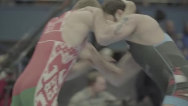 Wrestlers during the wrestling competition. Kyiv. Ukraine — ストック動画