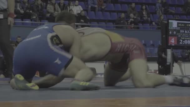 Ringer während des Wrestling-Wettbewerbs. kyiv. Ukraine — Stockvideo