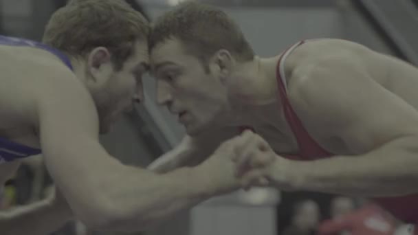 Wrestlers during the wrestling competition. Kyiv. Ukraine — ストック動画