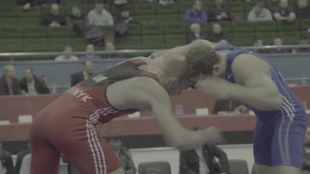 Wrestlers during the wrestling competition. Kyiv. Ukraine — ストック動画