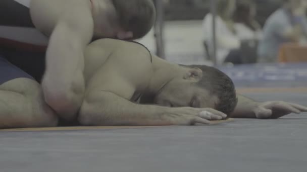 Wrestlers during the wrestling competition. Kyiv. Ukraine — ストック動画