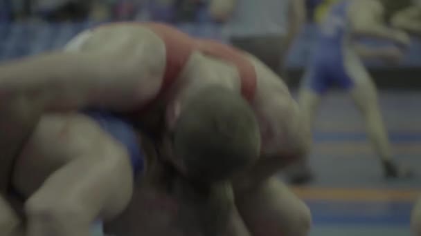 Zápasníci během wrestlingové soutěže. Kyjev. Ukrajina — Stock video