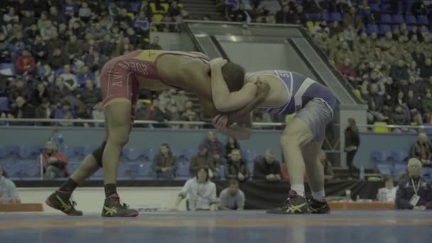 Wrestlers during the wrestling competition. Kyiv. Ukraine — ストック動画