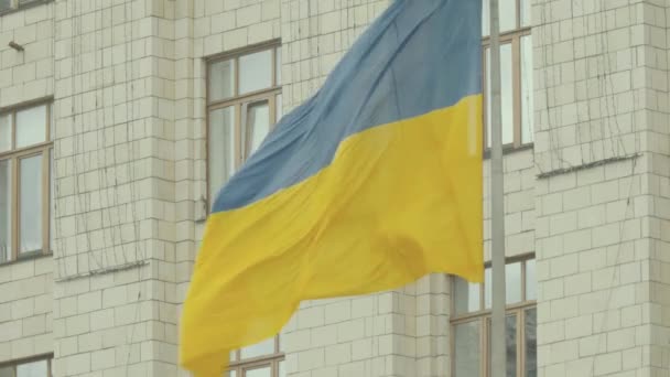 ウクライナの国旗接近中だウクライナだキエフ — ストック動画