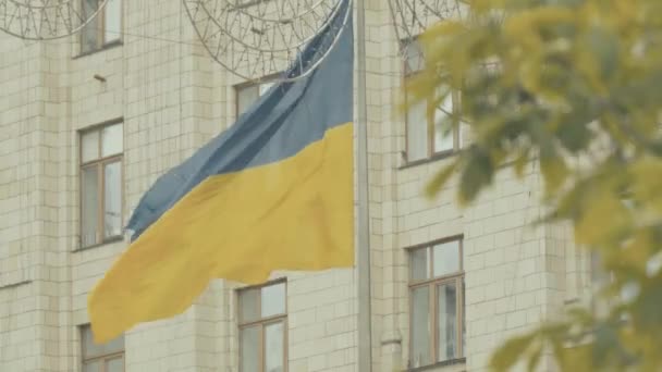 우크라이나 국기. 클로즈업. 우크라이나. 키프 — 비디오