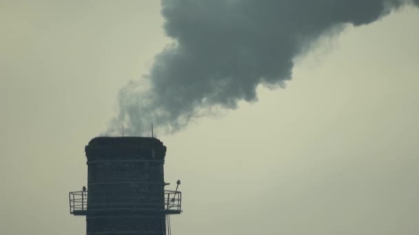 煙は煙突から出ています。大気汚染だスローモーション。生態学。キエフ。ウクライナ — ストック動画