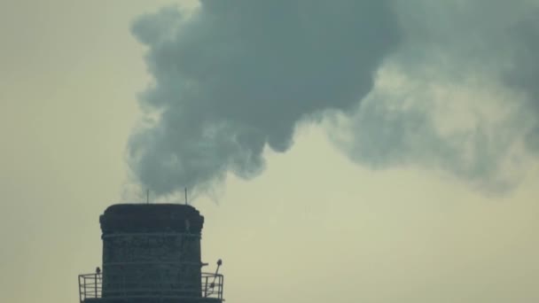 Asap berasal dari cerobong asap. Polusi udara. Gerakan lambat. Ekologi. Kyiv. Ukraina — Stok Video