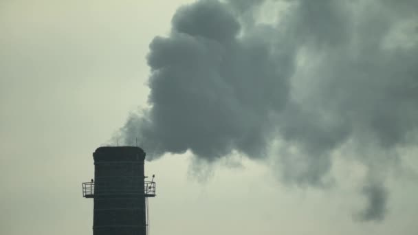 O fumo vem da chaminé. Poluição do ar. Movimento lento. Ecologia. Kiev. Ucrânia — Vídeo de Stock