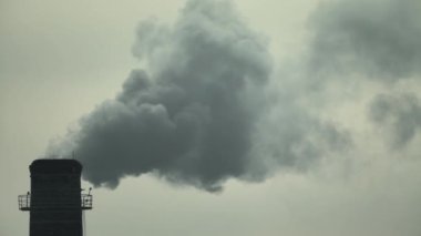 Duman bacadan geliyor. Hava kirliliği. Ağır çekim. Ekoloji. Kyiv. Ukrayna