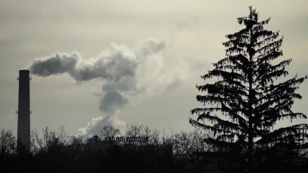 Дым идет из дымохода. Загрязнение воздуха. Медленное движение. Экология. Киев. Украина — стоковое видео
