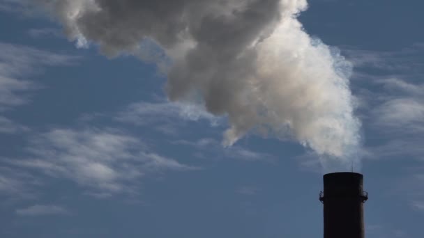 Er komt rook uit de schoorsteen. Luchtverontreiniging. Langzame beweging. Ecologie. Kiev. Oekraïne — Stockvideo