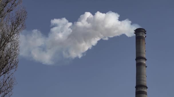 Kouř vychází z komína. Znečištění ovzduší. Zpomal. Ekologie. Kyjev. Ukrajina — Stock video