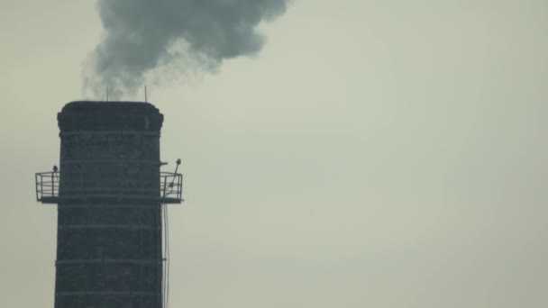 O fumo vem da chaminé. Poluição do ar. Movimento lento. Ecologia. Kiev. Ucrânia — Vídeo de Stock