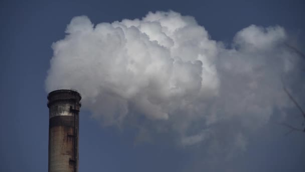 Er komt rook uit de schoorsteen. Luchtverontreiniging. Ecologie. Kiev. Oekraïne. — Stockvideo