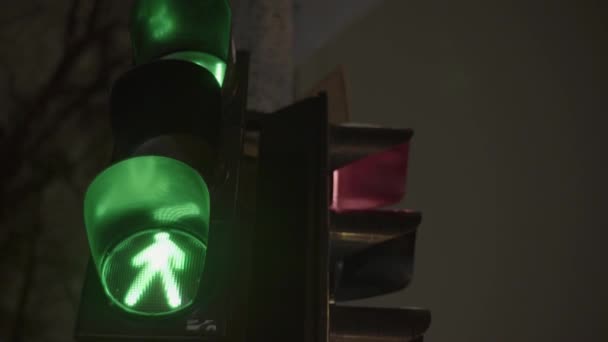 Traffic light on the road at night. Close-up. Kyiv. Ukraine — Stock Video