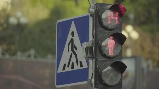 日中は道路上の信号。接近中だキエフ。ウクライナ — ストック動画