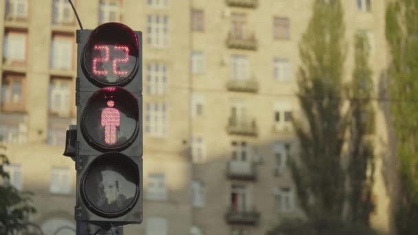 Feux de circulation sur la route pendant la journée. Gros plan. Kiev. Ukraine — Video