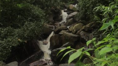 Ormandaki şelale. Asya. Sri Lanka.