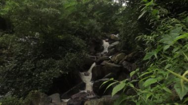 Ormandaki şelale. Asya. Sri Lanka.