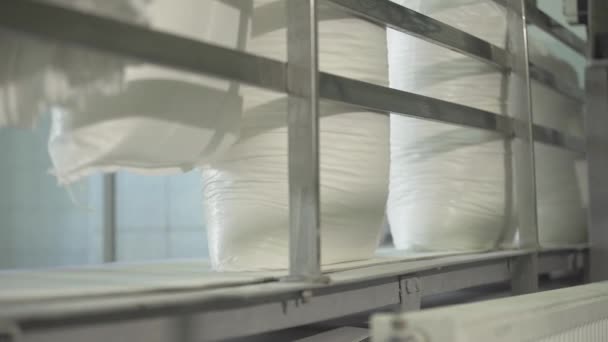 Produzione di zucchero in fabbrica. Kiev. Ucraina . — Video Stock