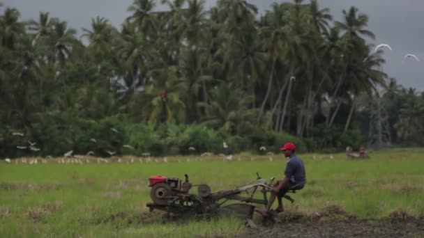 Werk in het veld op een tractor. Sri Lanka. — Stockvideo