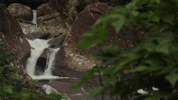 Wasserfall im Wald. Asien. sri lanka. — Stockvideo