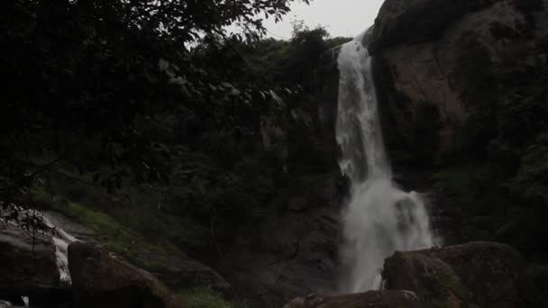 Cascata nella foresta. In Asia. Sri Lanka . — Video Stock