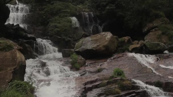 Cascata nella foresta. In Asia. Sri Lanka . — Video Stock