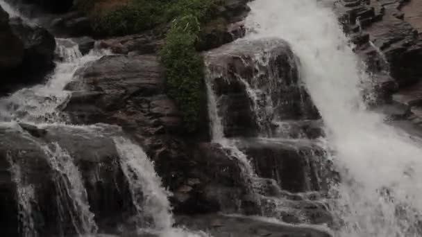 Cascata nella foresta. In Asia. Sri Lanka . — Video Stock