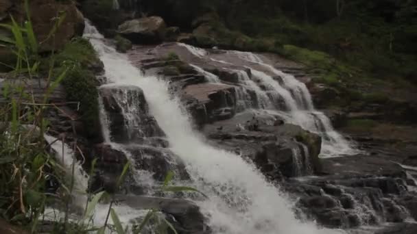 Vattenfall i skogen. Asien. Sri Lanka. — Stockvideo