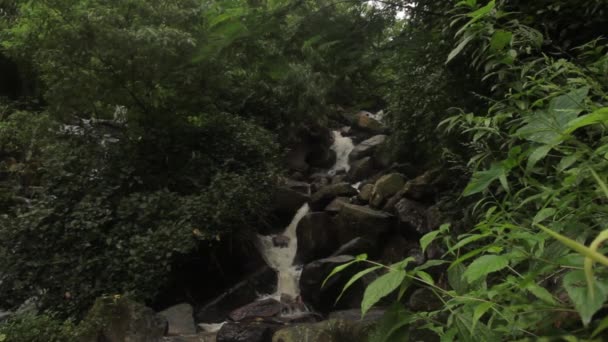 Vattenfall i skogen. Asien. Sri Lanka. — Stockvideo