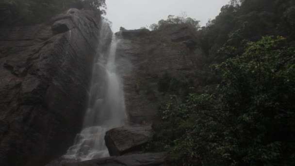 Cascata nella foresta. In Asia. Sri Lanka . — Video Stock