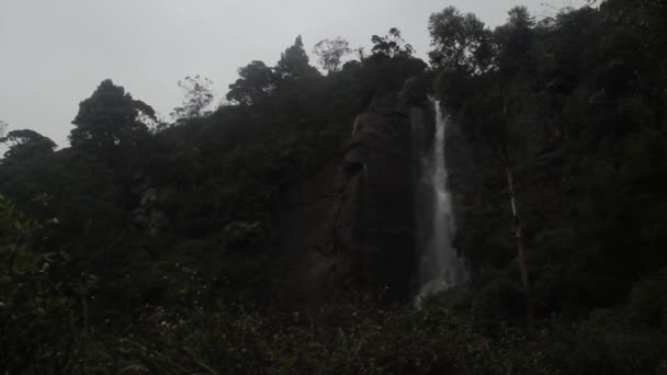 Cascada en el bosque. Asia. Sri Lanka . — Vídeo de stock