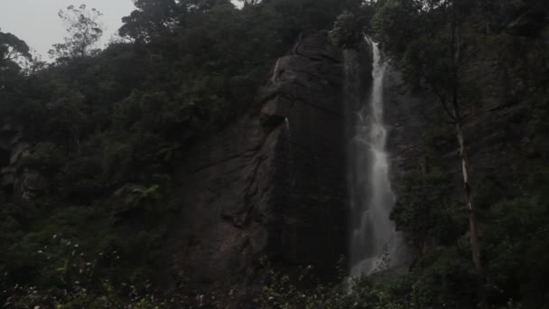 Ormandaki şelale. Asya. Sri Lanka. — Stok video