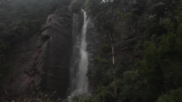 Водоспад в лісі. Азія. Шрі - Ланка. — стокове відео
