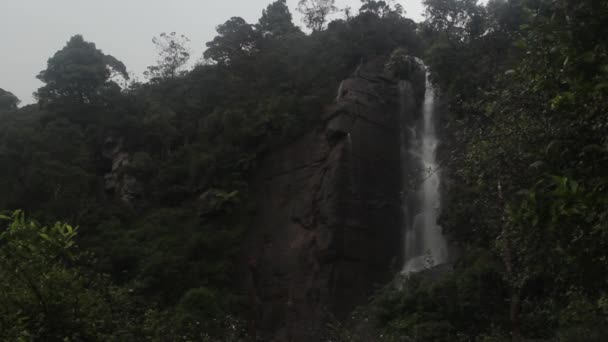 Cascata nella foresta. In Asia. Sri Lanka . — Video Stock