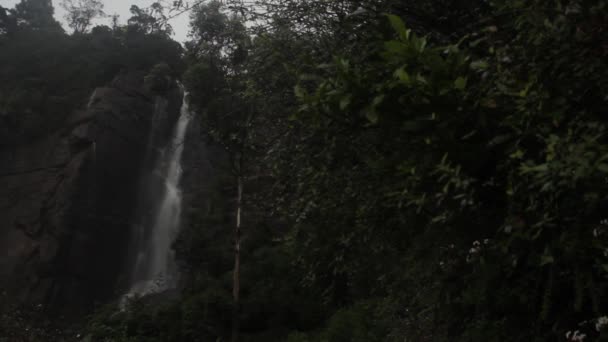 Водопад в лесу. Азия. Шри-Ланка . — стоковое видео