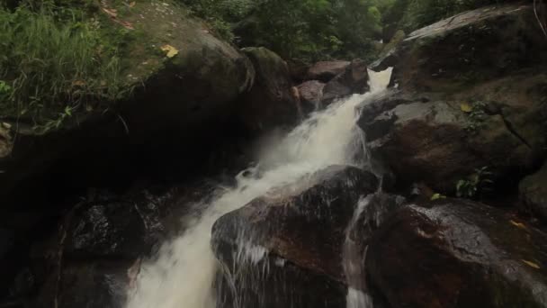 Cachoeira na floresta. Ásia. Sri Lanka . — Vídeo de Stock