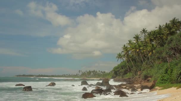 Sri Lanka océan paysage marin rivage. Paysage .