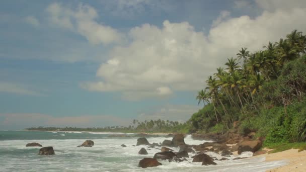 Sri Lanka oceaan zeegezicht zee kust. Landschap. — Stockvideo