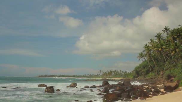 Sri Lanka oceaan zeegezicht zee kust. Landschap. — Stockvideo