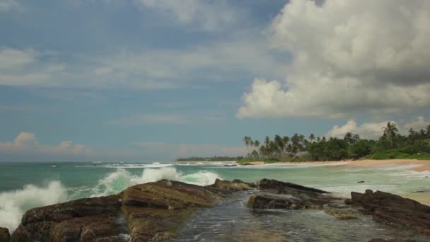 Sri Lanka ocean seascape sea shore. Landscape. — Stock Video