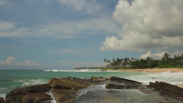 Sri lanka ocean sea cape sea shore. Landschaft. — Stockvideo