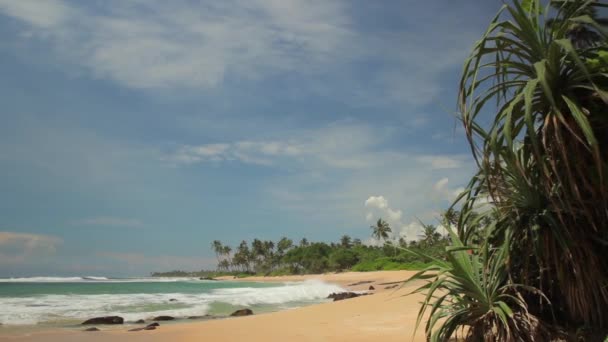 Sri Lanka ocean seascape sea shore. Landscape. — Stock Video