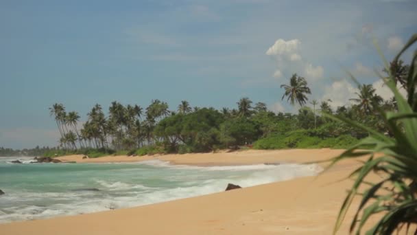 Sri Lanka océan paysage marin rivage. Paysage .